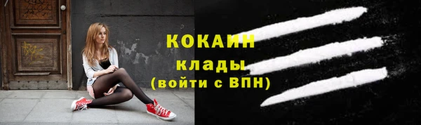 бошки Осинники